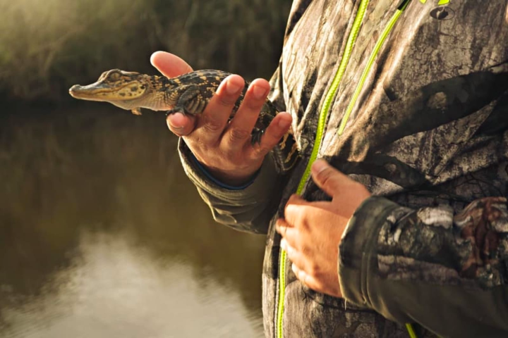 a person holding a reptile