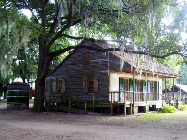 a tree in front of a house