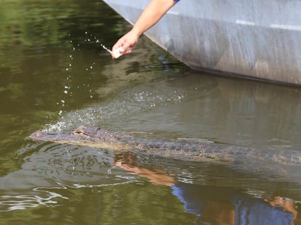 a person riding a surf board on a body of water
