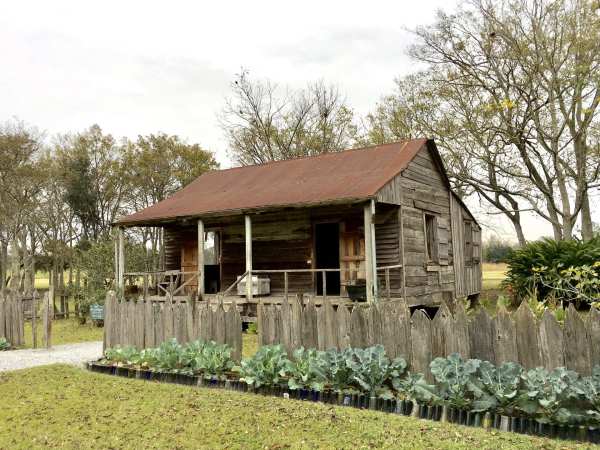 a garden in front of a house