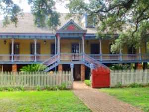 a tree in front of a house with Laura Plantation in the background