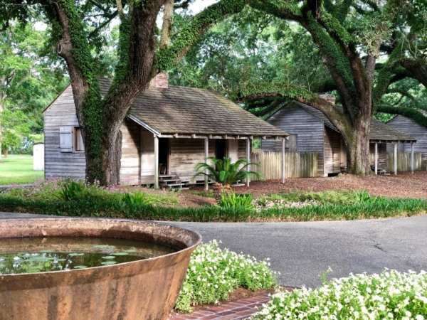 a garden in front of a house