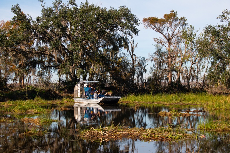 Swamp Tours