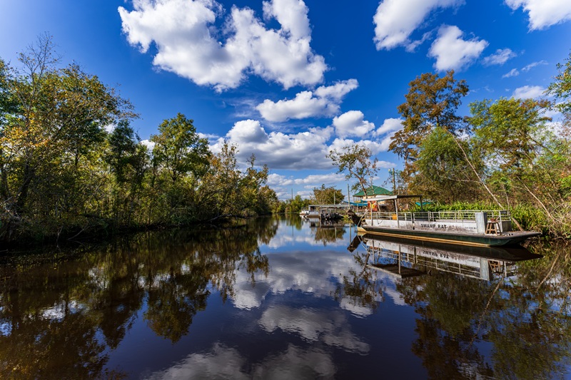 Louisiana swamp tour